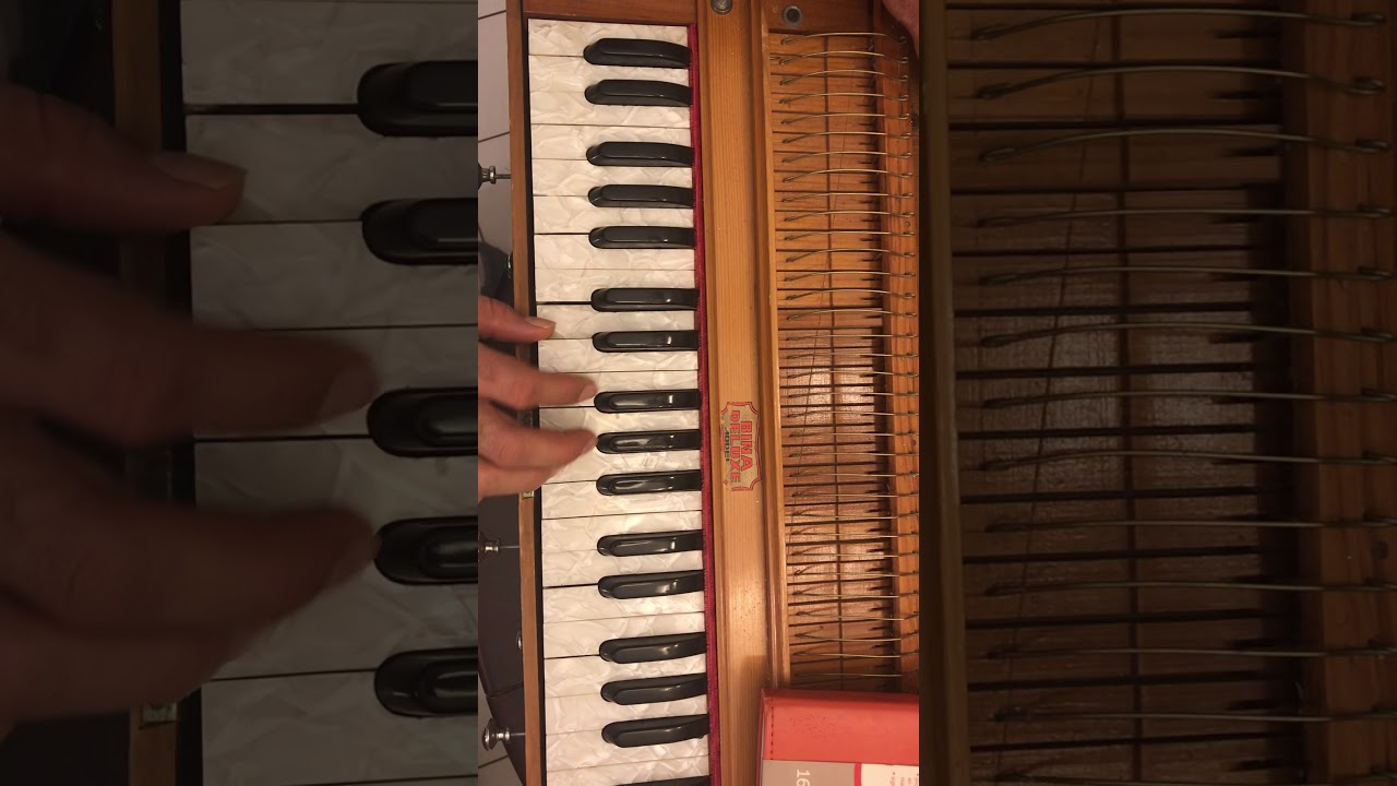 Ay dil ay dil dil deewana/ harmonium tutorial