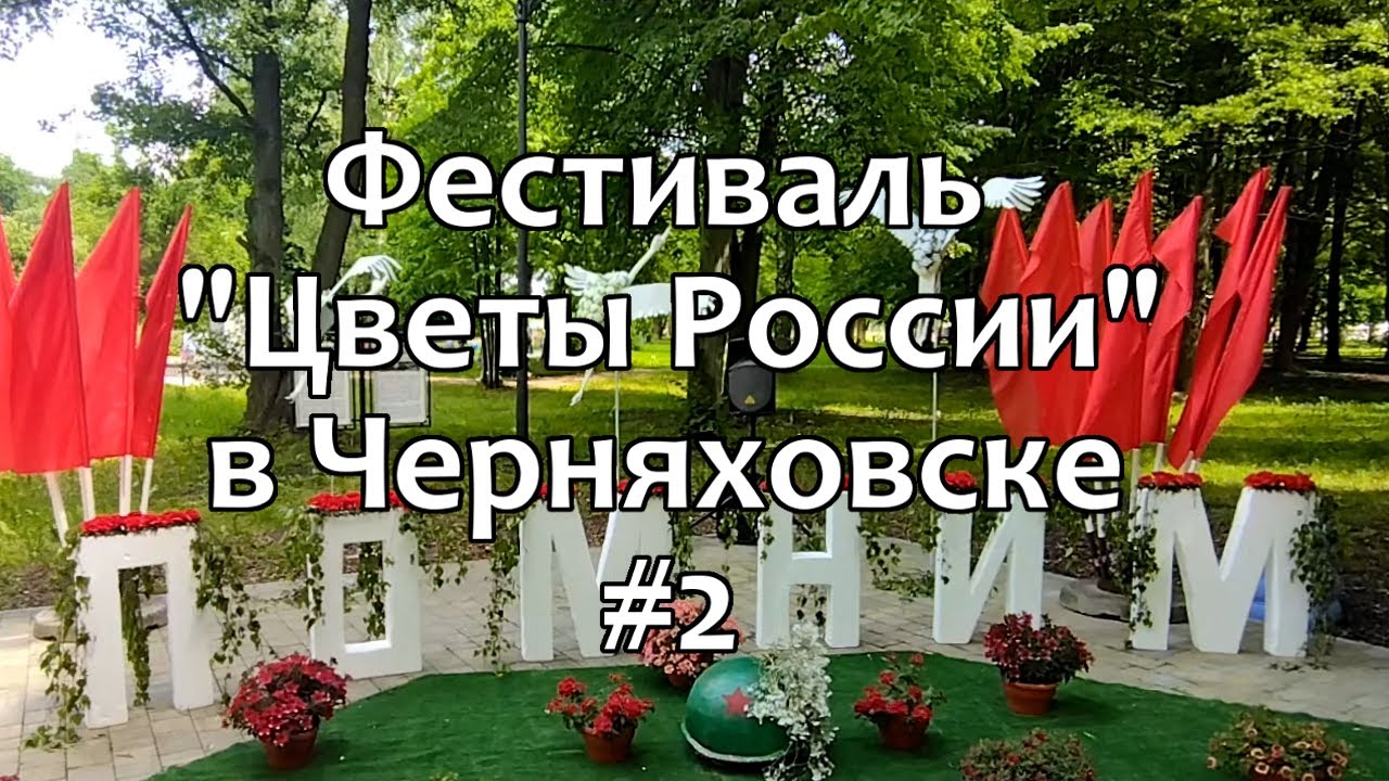 Черняховск. Фестиваль 