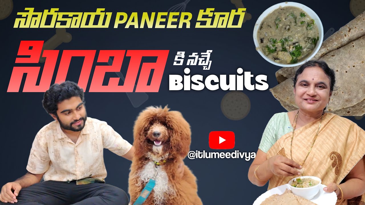 🍲 Bottle gourd పనీర్ కర్రీ | Jowar roti & Simba బిస్కెట్లు🐕 | Healthy Dinner & Pet Snack Recipes