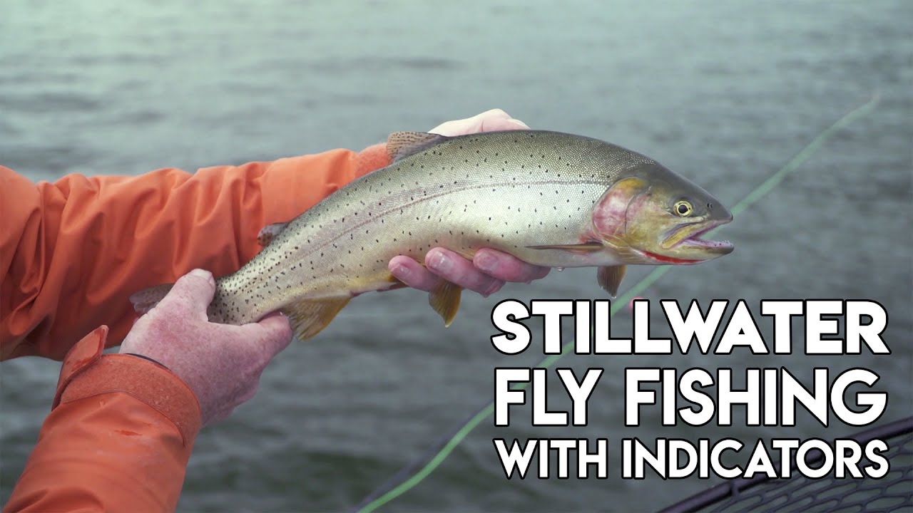 Stillwater Fly Fishing With Indicators