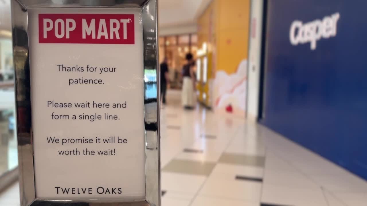 Long lines form at Twelve Oaks mall for Labubu craze