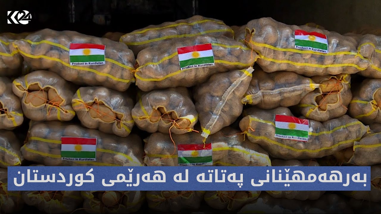 بووژانەوە | بەرهەمی پەتاتە لە هەرێمی کوردستان