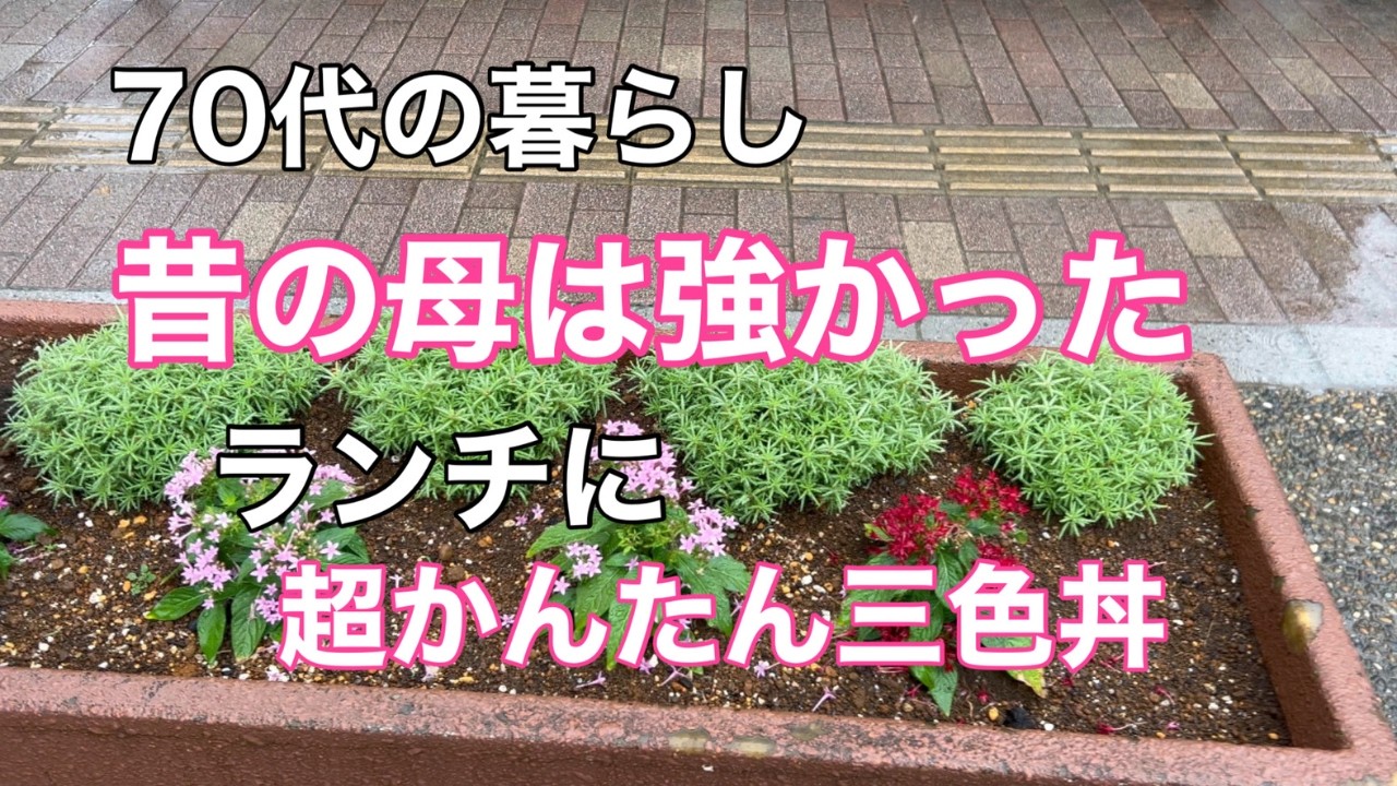【70代の日常】70代になって思う小さな夢…    昭和一桁生まれの母は強かった。