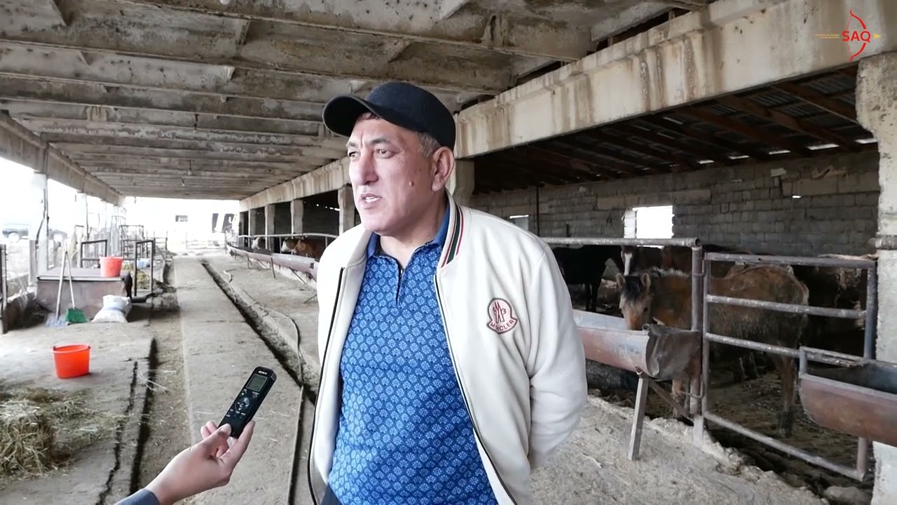 2025 жылы Төлеби ауданында «Ауыл аманаты» бағдарламасы аясында 39 жоба жүзеге асырылды