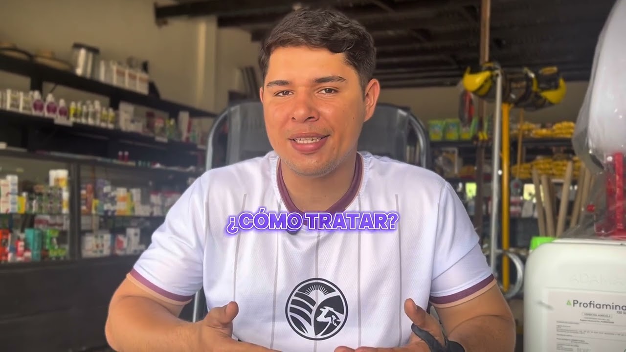 Anemia por hemoparásitos en bovinos￼