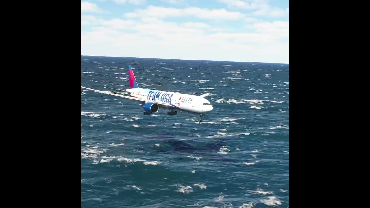 plane landed in bad weather 188