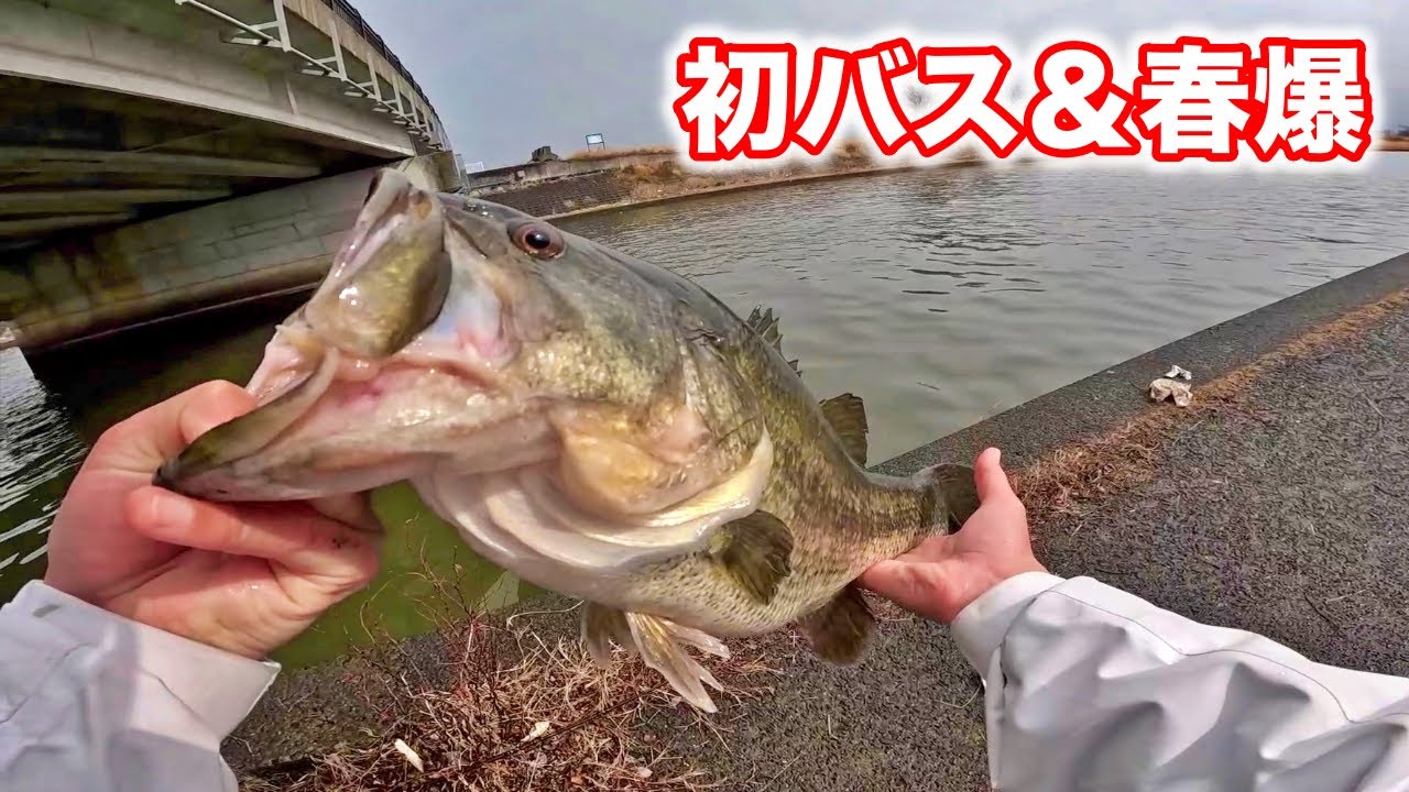 琵琶湖で3日かけて初バスを狙った結果！やっと初バスが釣れました！！