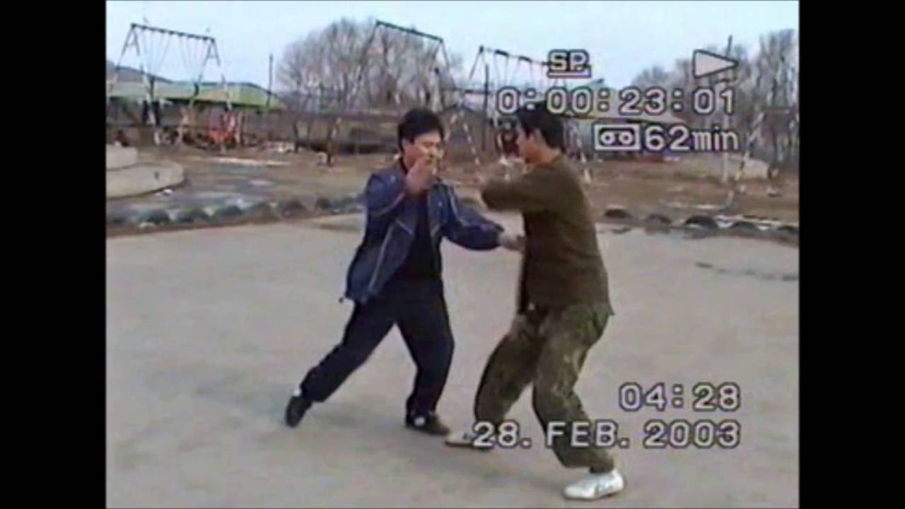 Bagua fight _ part 1