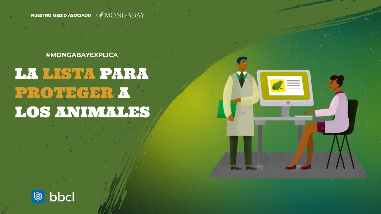 Conservación de especies: ¿Qué es la Lista Roja de la UICN?