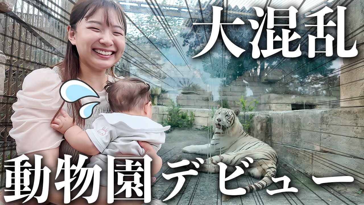 生後7ヶ月の娘を初のどうぶつ園に連れて行ったら反応がまさか過ぎた😂