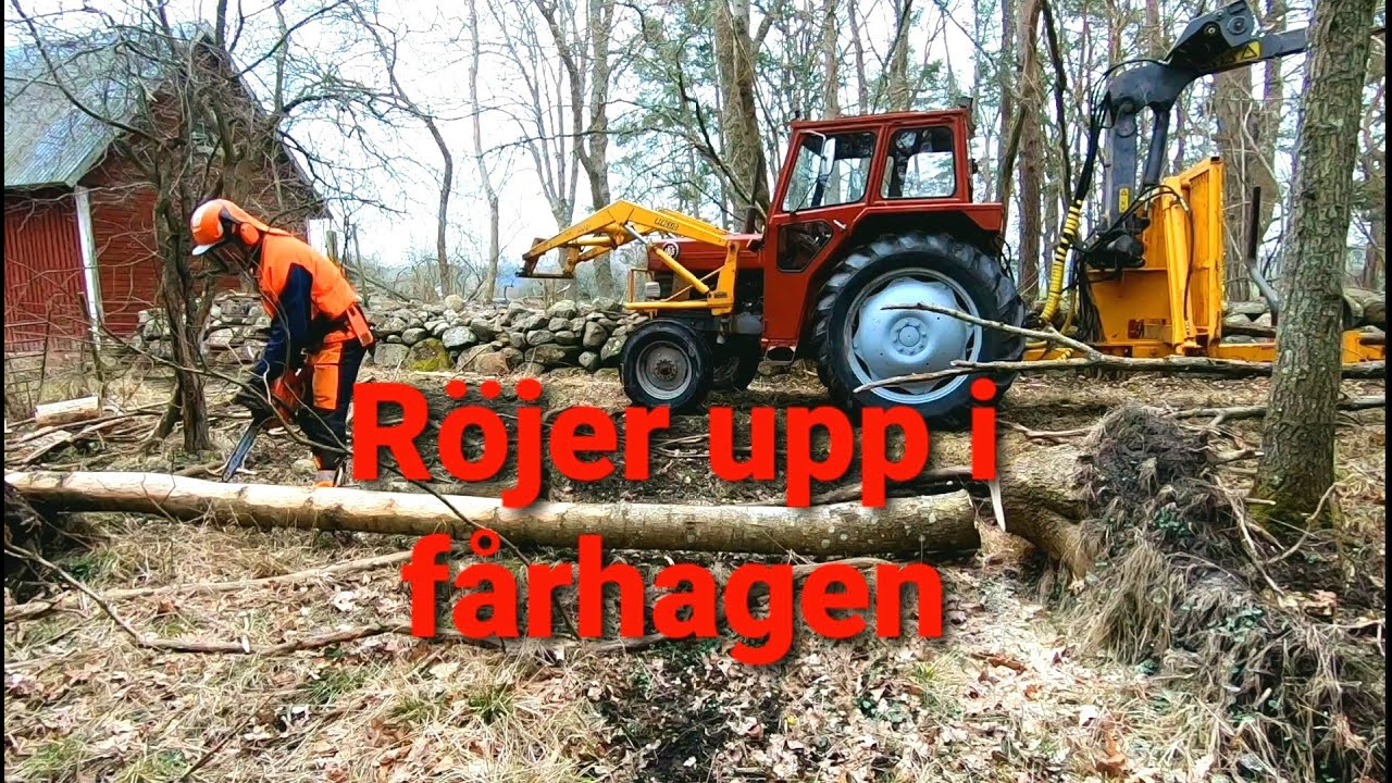 Röjer upp skogshage med motorsåg och testar ny huggarhjälm med blåtand.