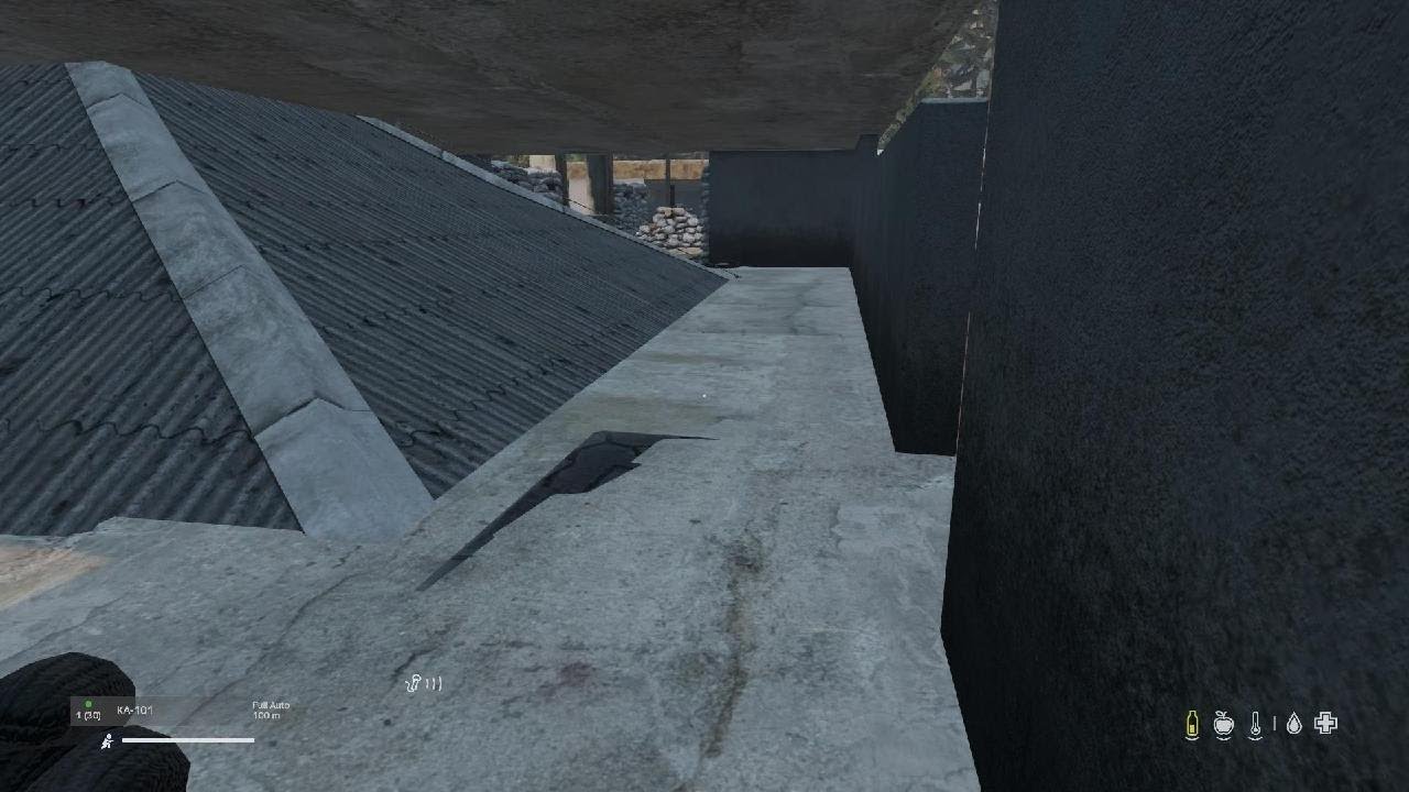 DayZ_20260308144131