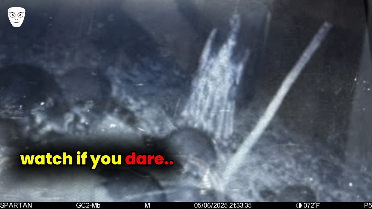 25 Trail Cams That Captured Something DISTURBING In The Woods | Scary Comp V382