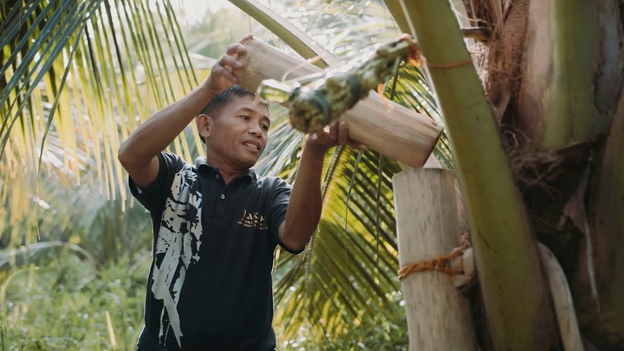 Proseso ng Paggawa ng Lambanog - PCA Region IV