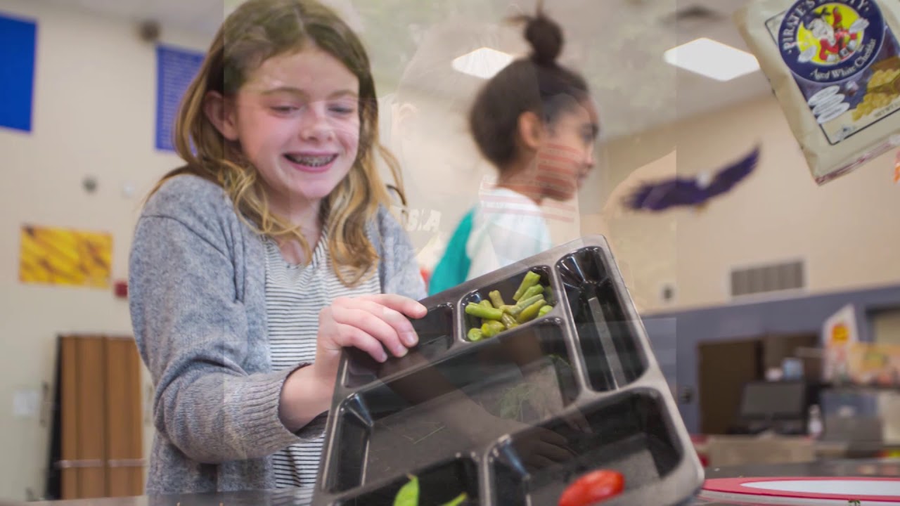 Composting correctly- sorting organics at school