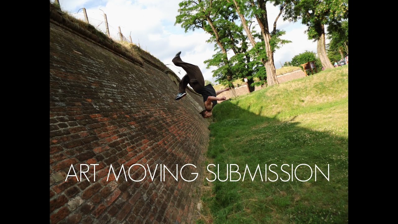 Petr Hubka - Art Moving Challenge 2016 Submission