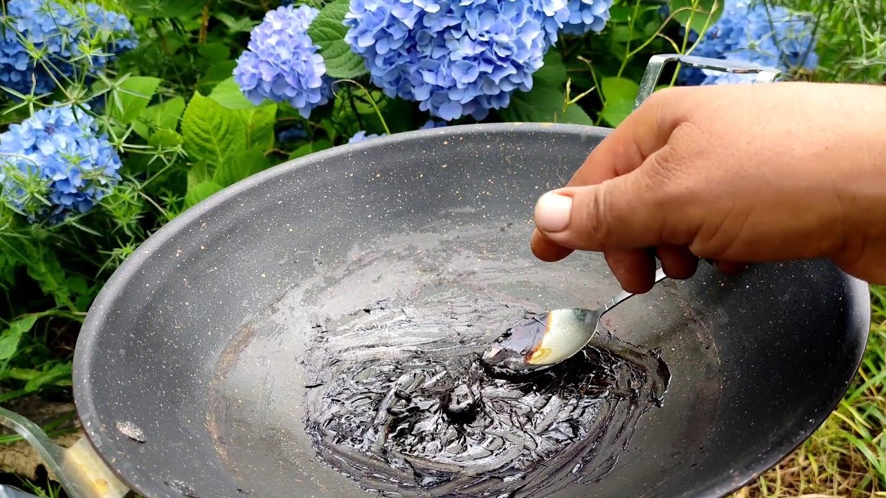 مورفین طبیعی برای کاهش دردها و درمان اعتیاد  این گیاه در باغچه و طبیعت وجود دارد🌱