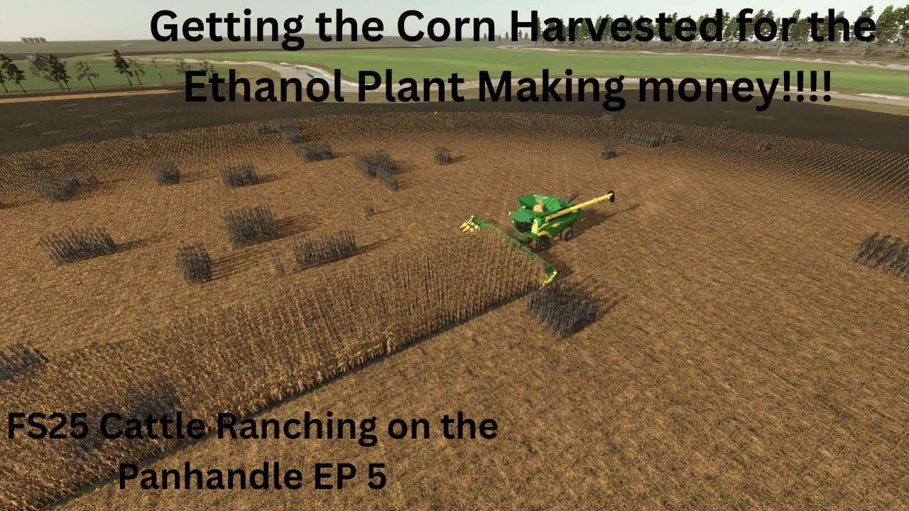 FS25 Ranching Series Building a Beef Cattle Ranch on The Panhandle EP 5 Harvesting corn for Ethanol.