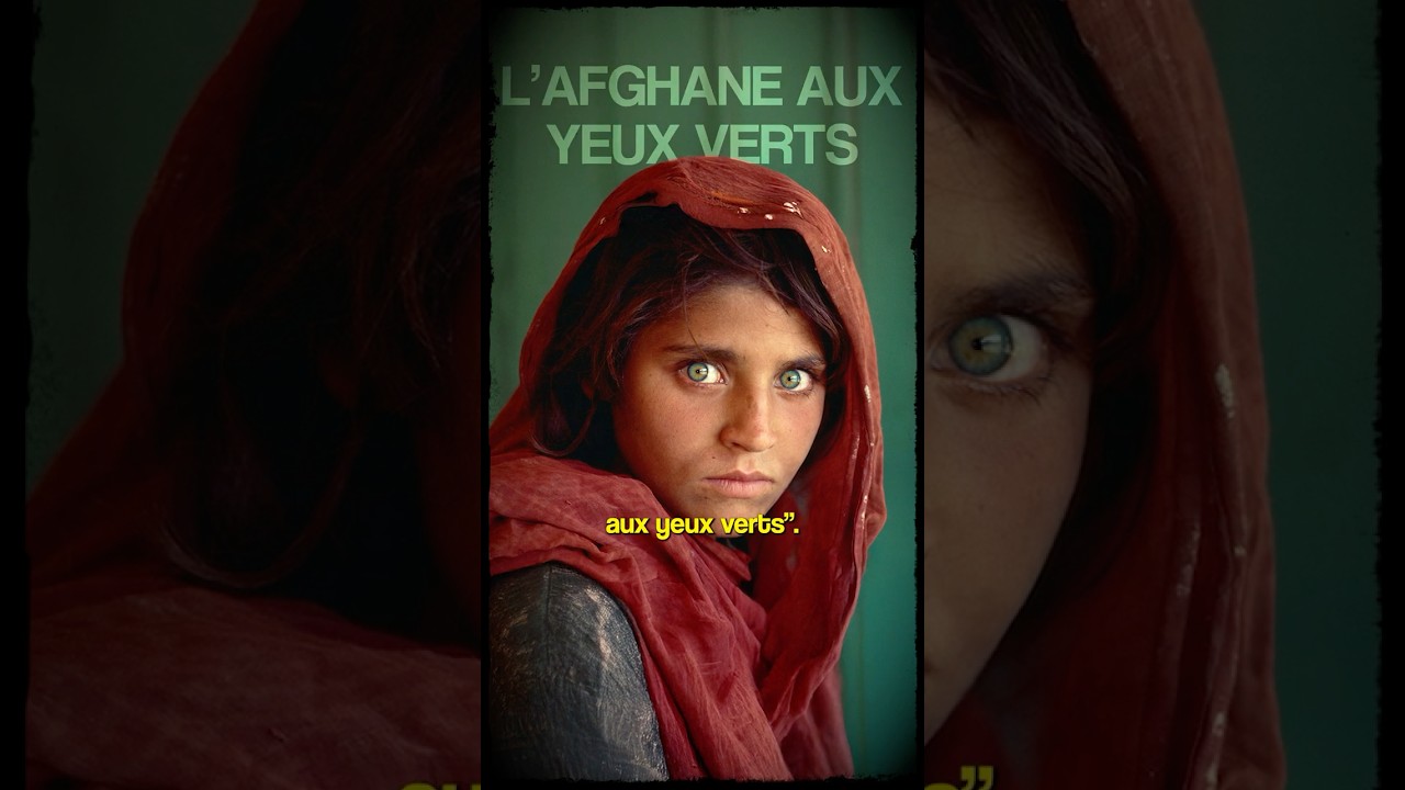 L'histoire de 