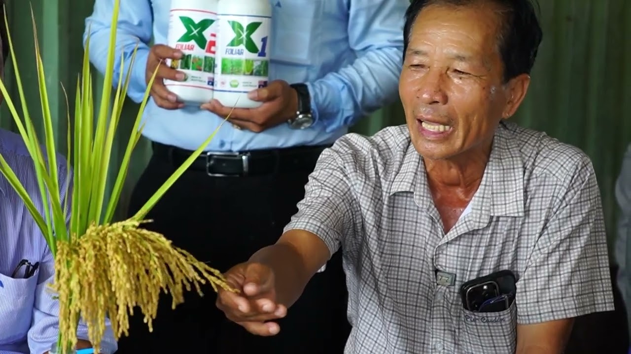 PHÓNG SỰ DR.VINCO KỲ 91: ĐÁNH GIÁ HIỆU QUẢ GIẢI PHÁP VINCO TRÊN ĐỒNG RUỘNG