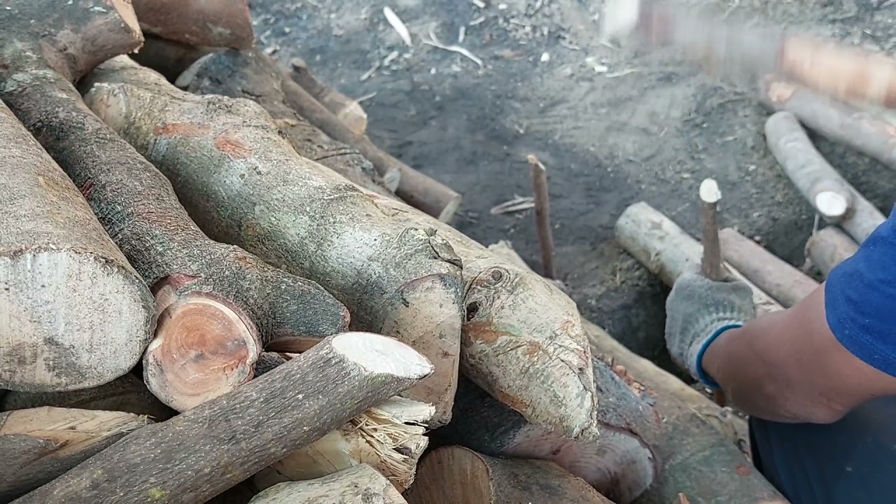Paano gumawa ng uling mula sa kahoy (Part 2) | Charcoal making