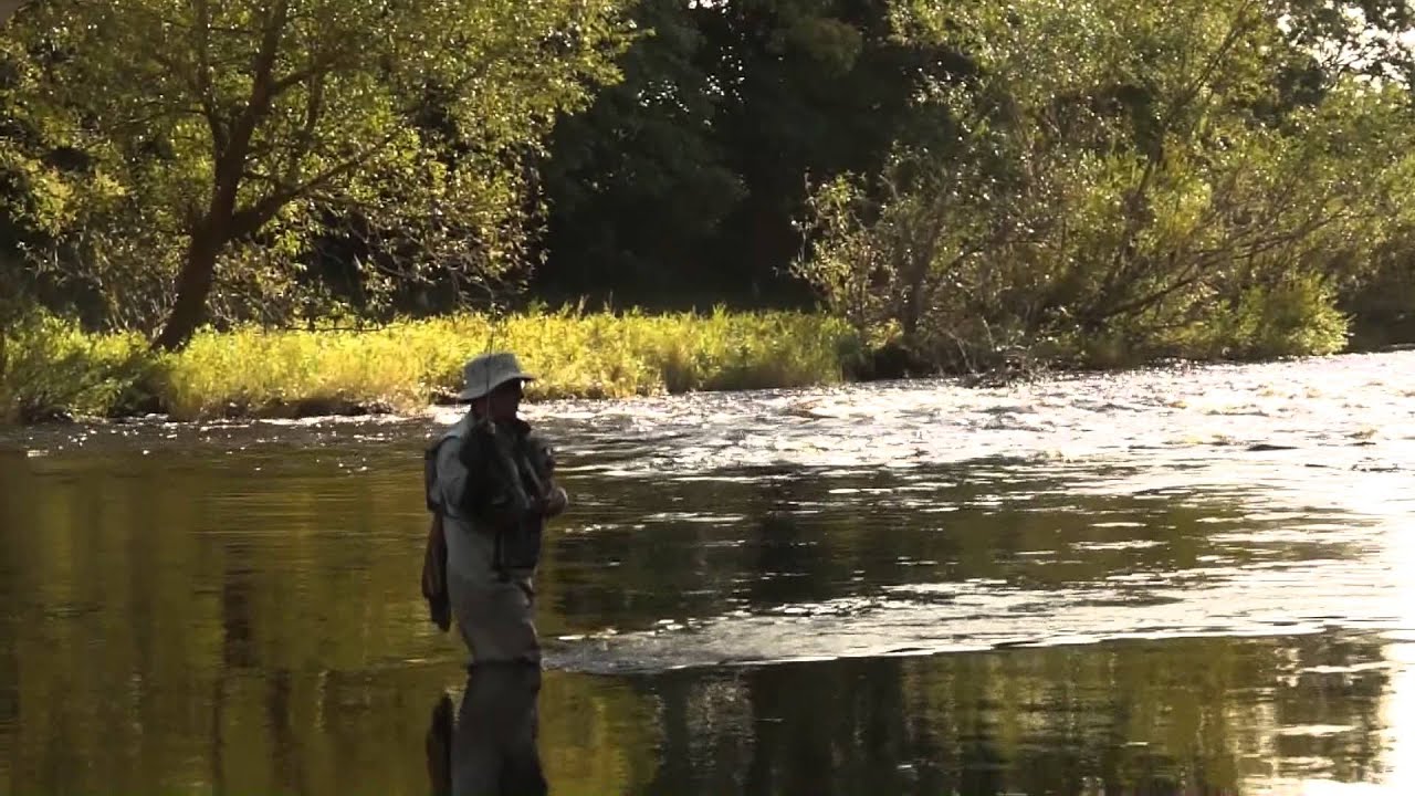 Grayling Fly fishing part 2.  Dry fly delight