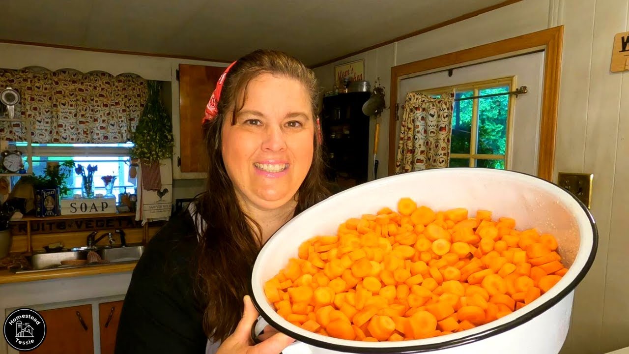 FREEZING Carrots with Extra flavor 1970's style