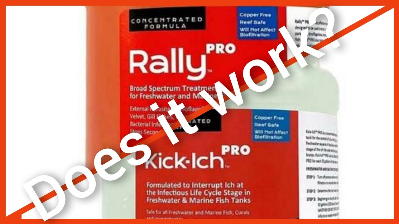 Reefing 55: What I Dreaded MOST! Marine ICH or Velvet (hard to tell)! RubyReef Kick-Ich/Rally Part 1