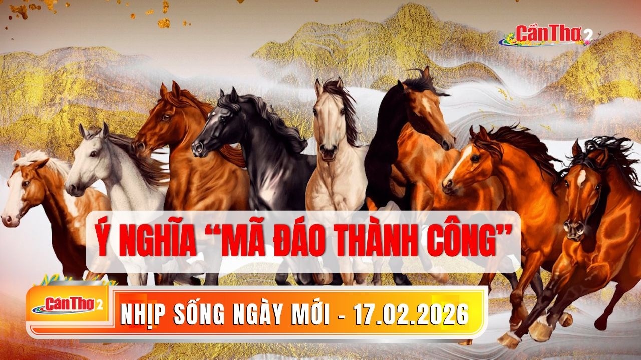 Ý nghĩa “mã đáo thành công” | Nhịp sống ngày mới 17.02.2026 | Cần Thơ