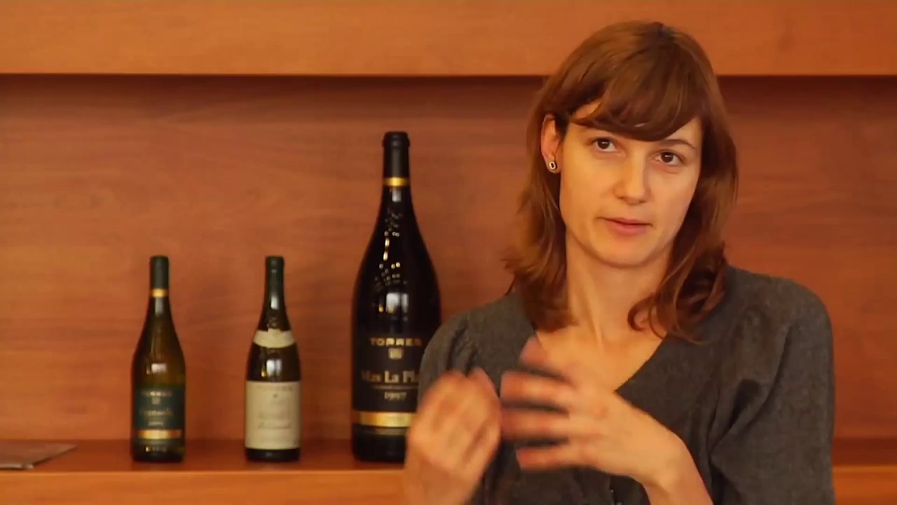 elaboracion de vinos