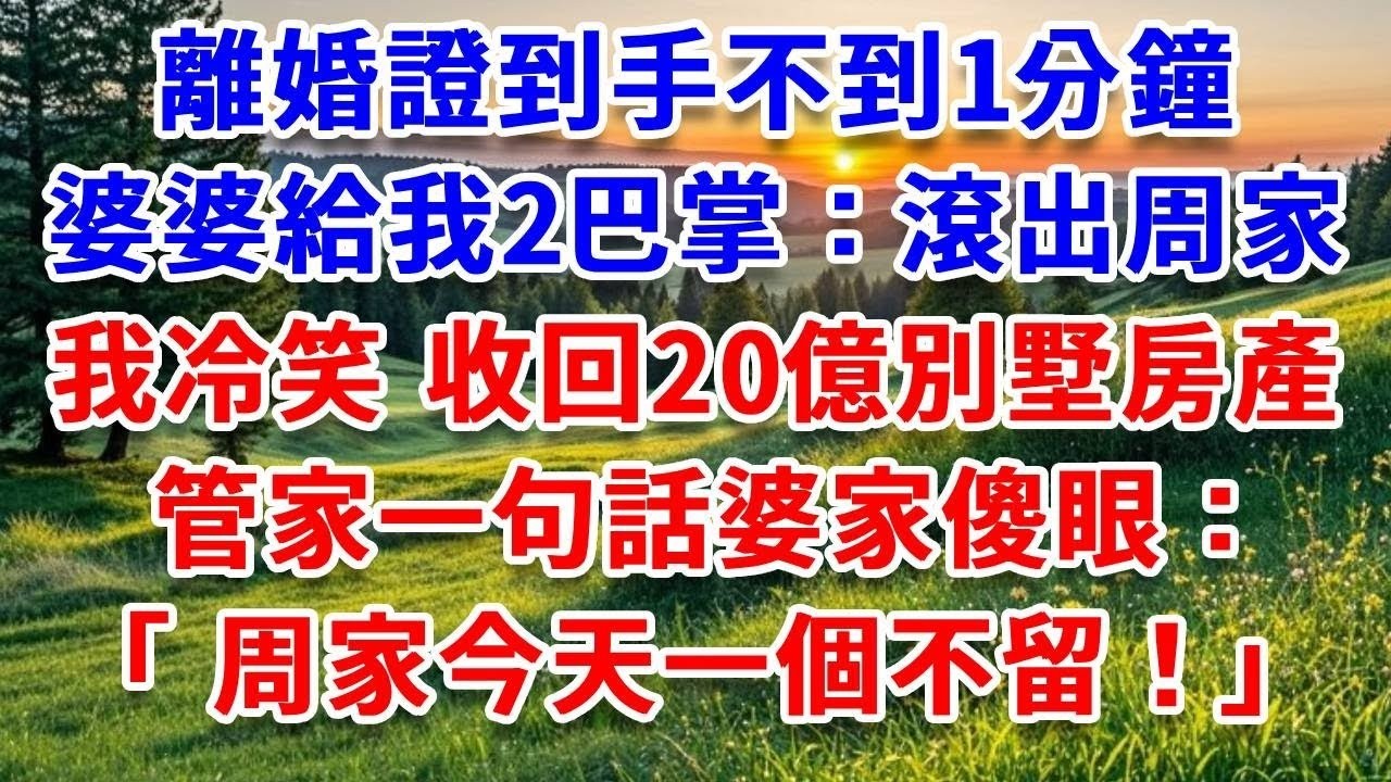 離婚證到手不到1分鐘，婆婆給我2巴掌：滾出周家！我冷笑 收回20億別墅房產，管家一句話婆家傻眼：周家今天一個不留！#詩涵講故事#為人處世#生活經驗#情感故事#晚年哲理#說故事#完結文#原創故事