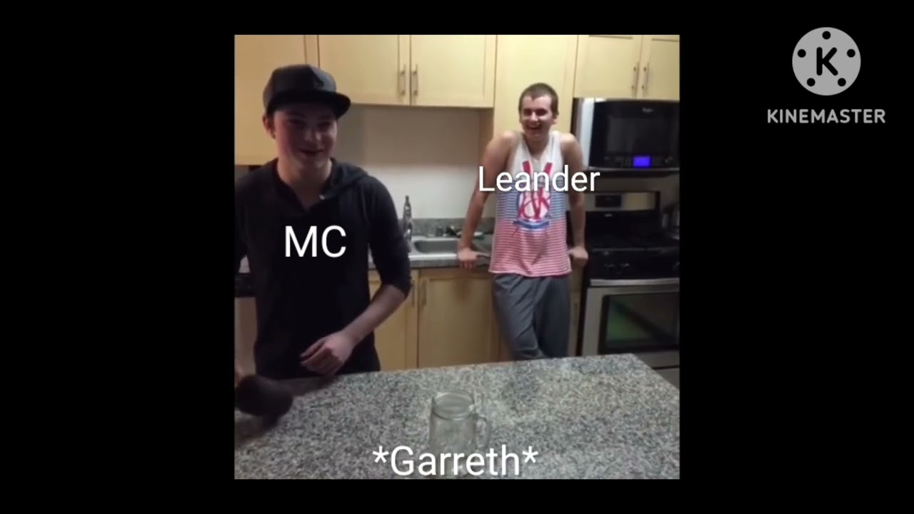 Hogwarts Legacy as Vines 3