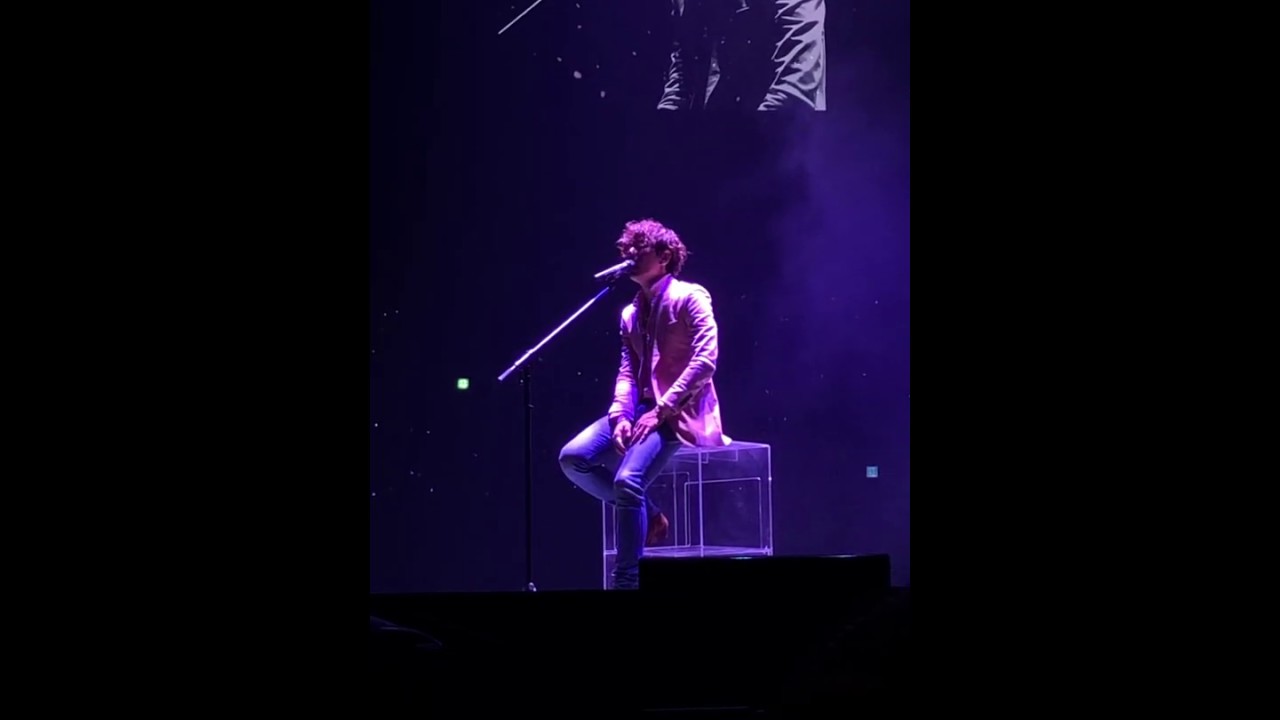 190711 박효신(park hyo shin) 콘서트 야생화 full - 마지막에 팬들은 야생화로 대장님은 겨울소리로 화음
