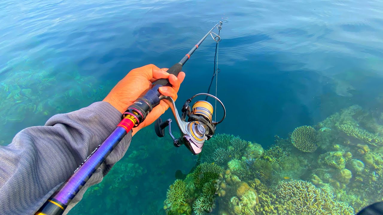 Spot Megalodon Gacor, Dapat Sambaran Keras Mancing Ngoyor di Tebing Karang ini | Mancing Landbase
