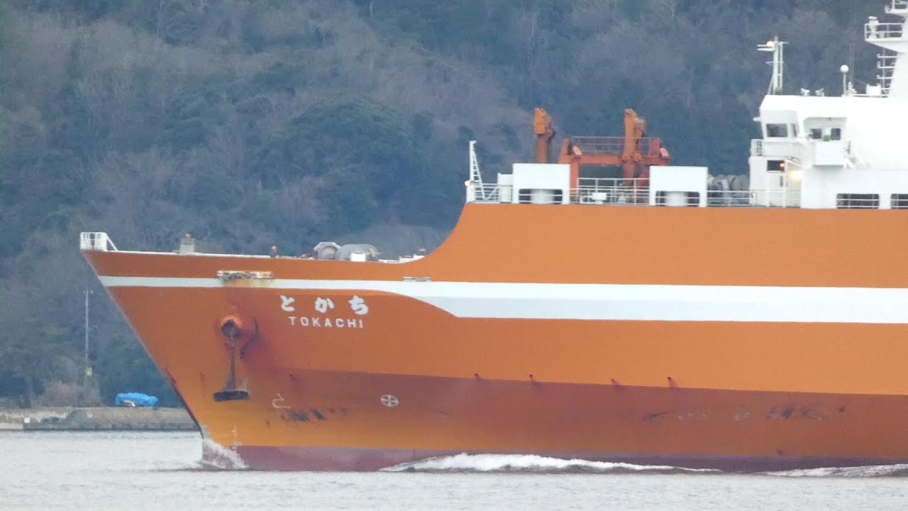 RORO Cargo Ship 敦賀湾 近海郵船 RORO船 とかち 入港 敦賀港 敦賀新港 Entering port Ferry Ship