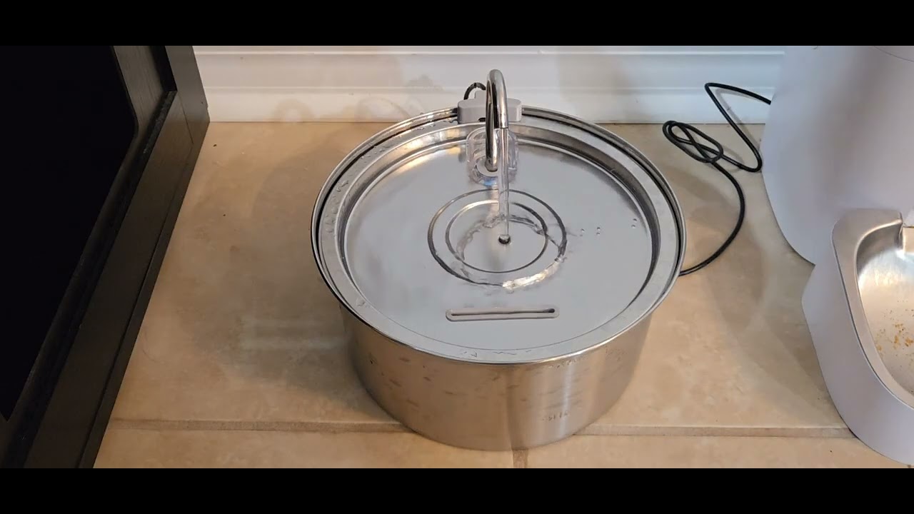 Automatic Cat Water Fountain Review | Stainless Steel Fountain for Better Hydration