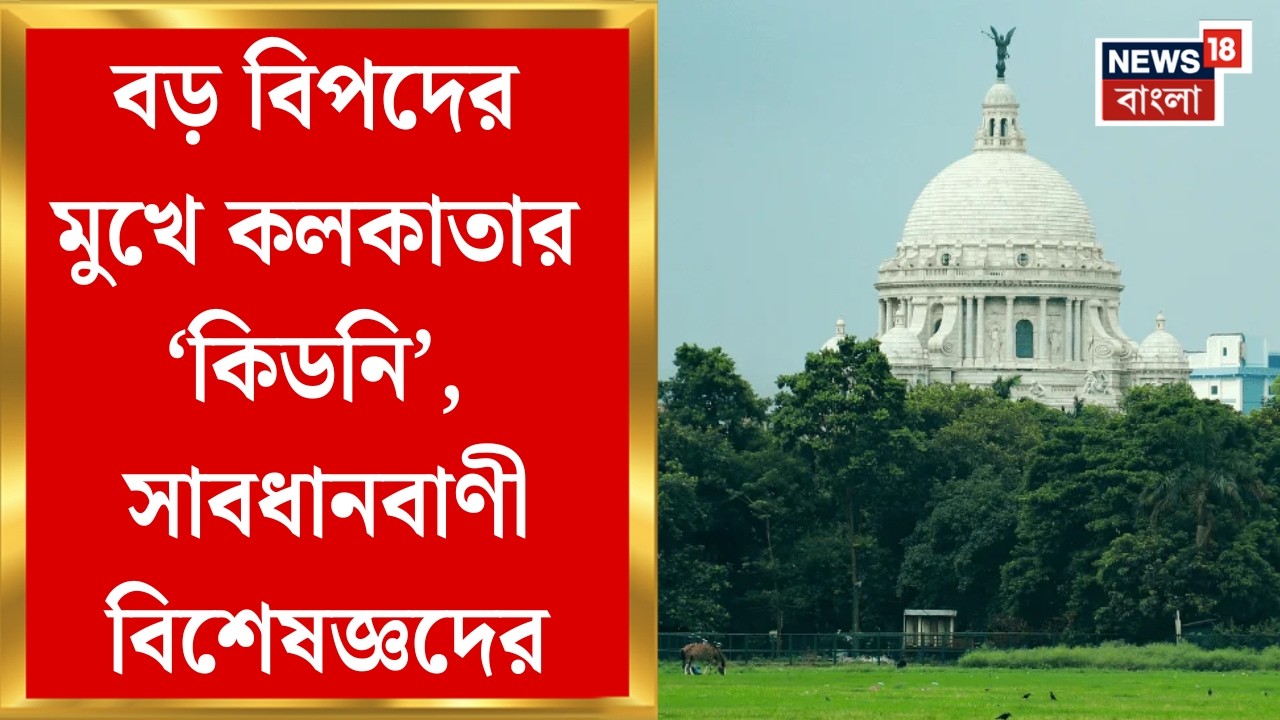 Kolkata Wetland | কলকাতার জলাজমি কি আর বাঁচানো সম্ভব? আসছে বড় বিপদ! | Bangla News