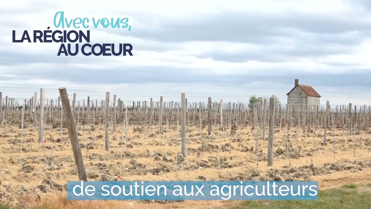 Vignerons