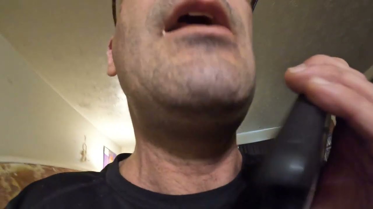 audit phone call , VA part 2