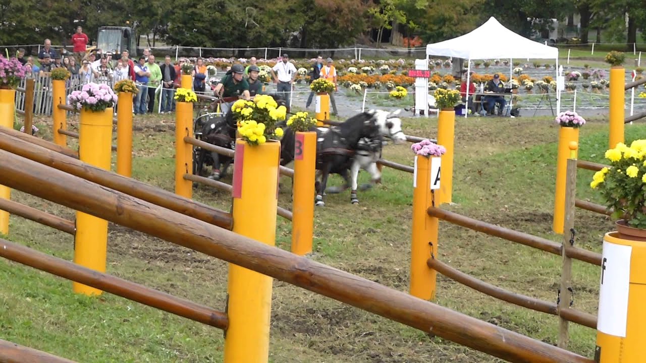 DOBROVITZ jr  Jozsef, HUN, WCH Ponies, Pau 2013, Pony Team, Marathon, O 2