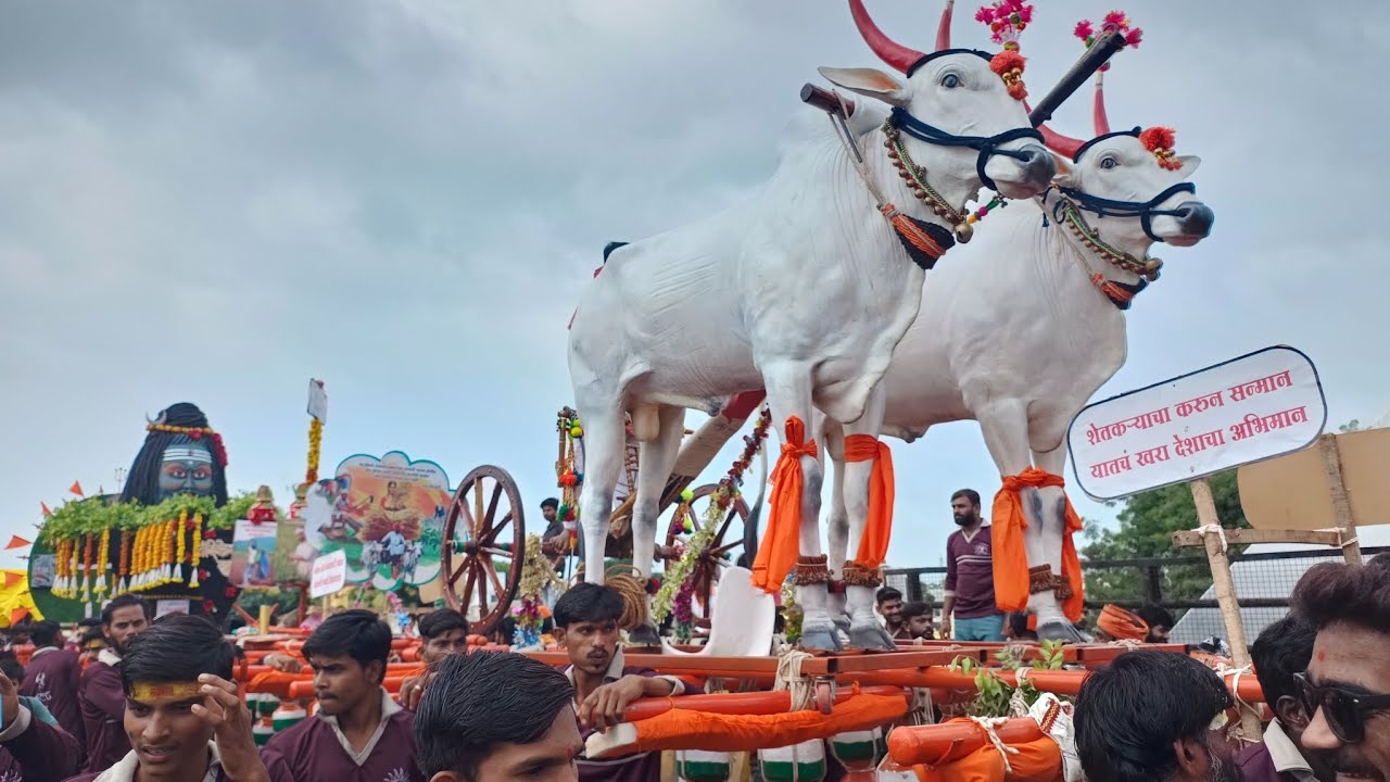 अकोट कावड यात्रा जल्लोश 2023 #akot #mh30 #rajrajeshwar #rrcnews#akola#vidarbha #murtizapur#amravati