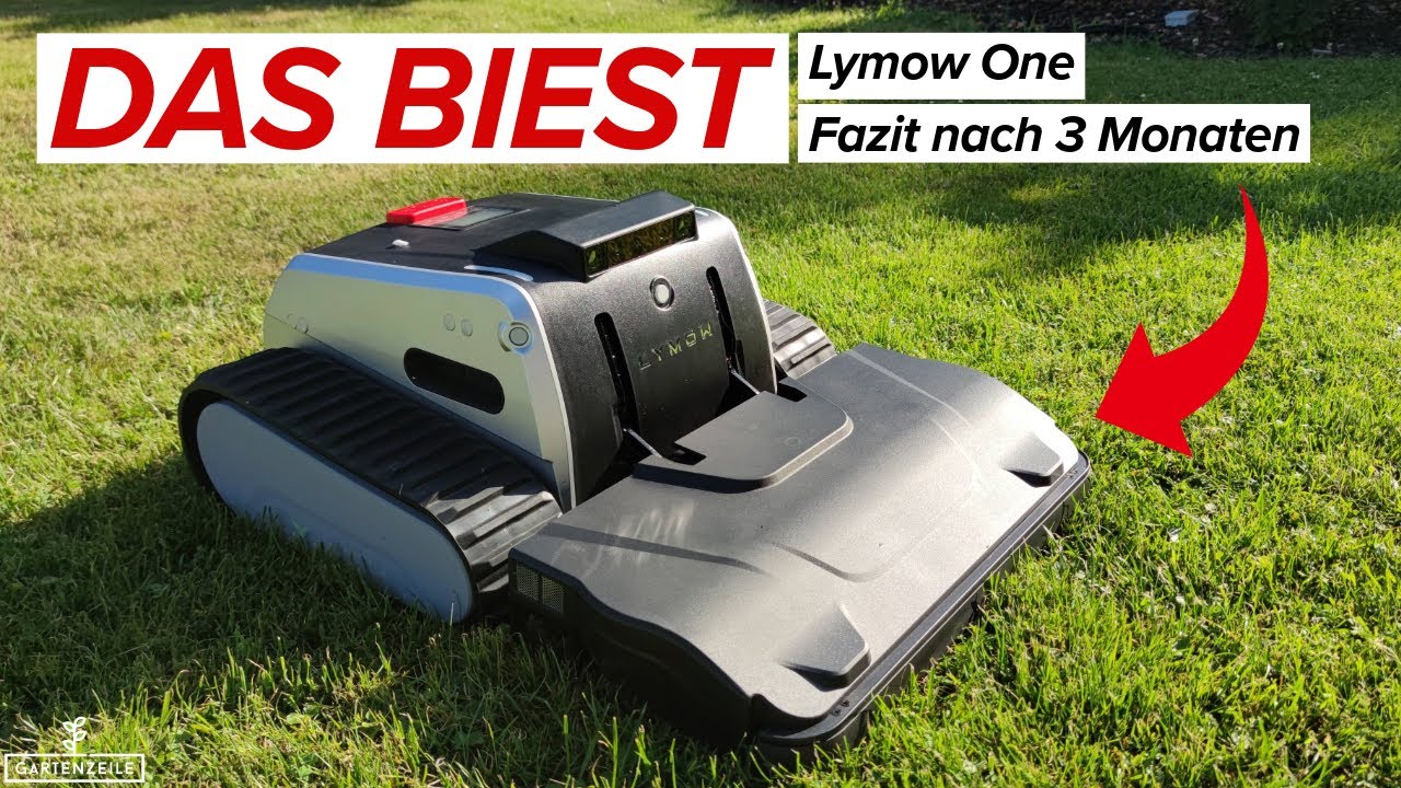 Lymow One - unser Halbjahresfazit zum 