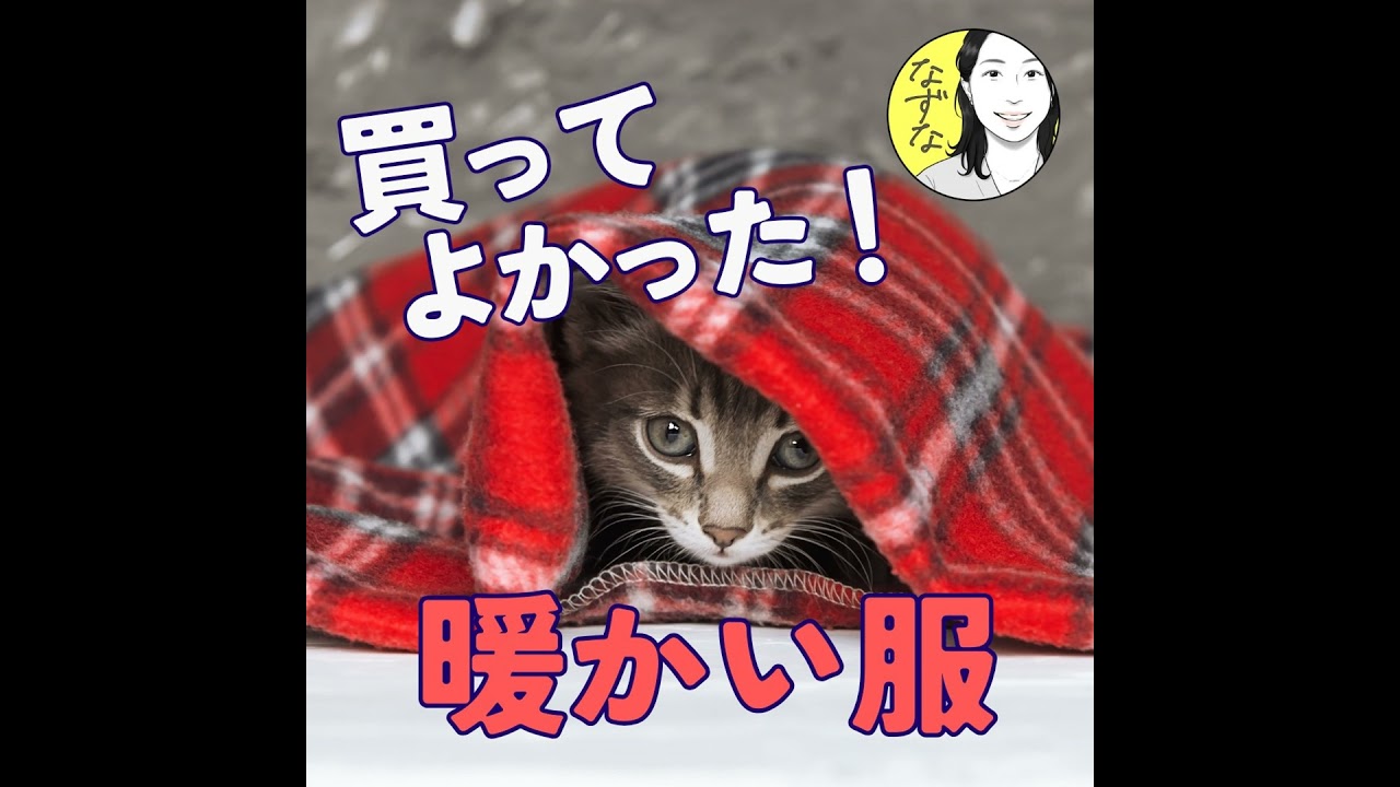 【買ってよかった】冬の暖かい服おすすめ。結局、この店？