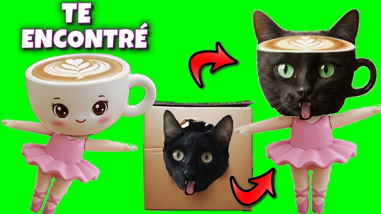 BRAINROT PERO JUGANDO A LAS ESCONDIDAS EN CAJAS DE CARTÓN / GATOS VS MEMES DE ANIMALES ITALIANOS