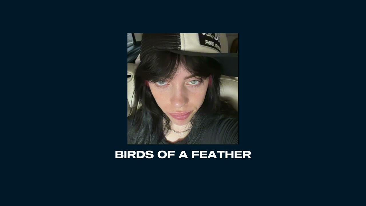 Birds of a feather - Billie Eilish ( Slowed + Reverb )