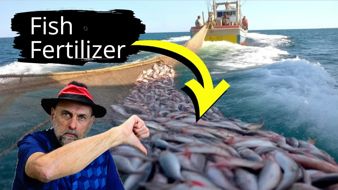 Fish Fertilizer Secrets They Don&rsquo;t Tell You!