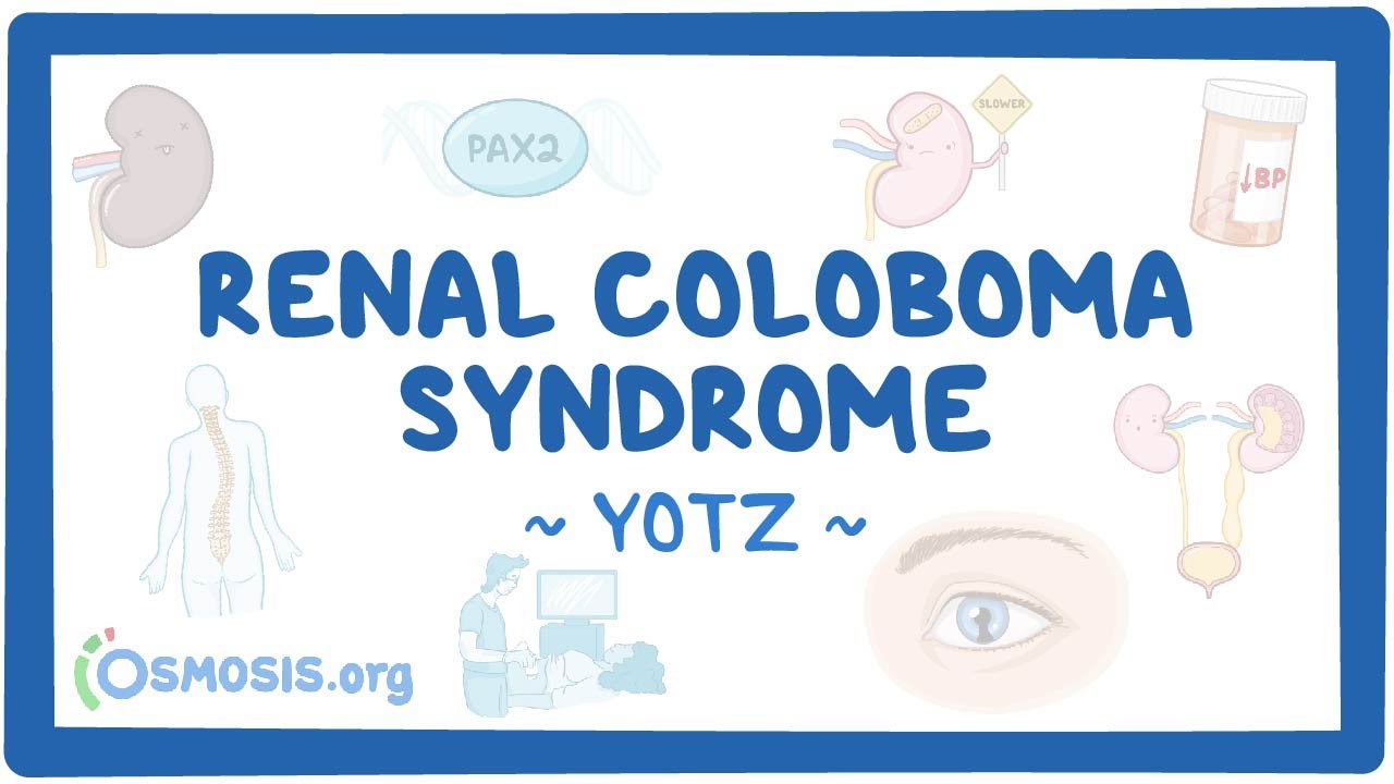 Renal coloboma syndrome (Year of the Zebra 2025)