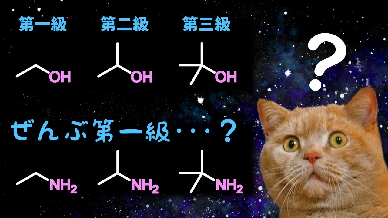 【なんでルール違うねん】第一級アルコールと第一級アミン【院試・編入試験】