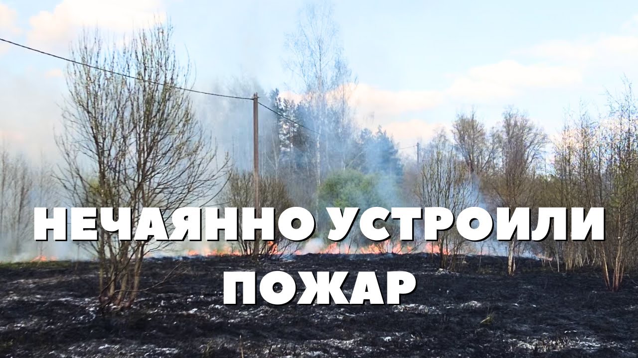 день, когда всё пошло наперекосяк