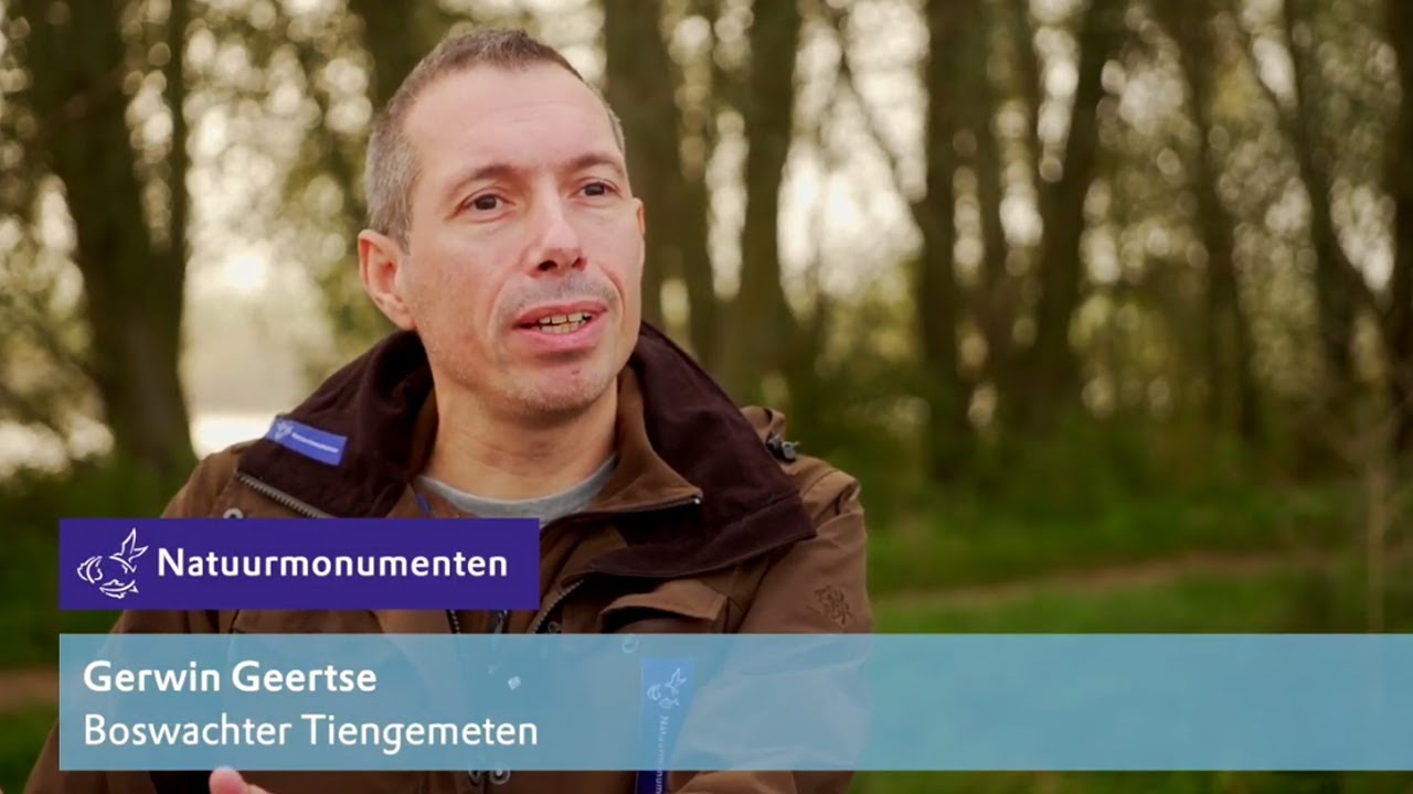 Tiengemeten in de herfst